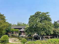 -观潮胜地公园