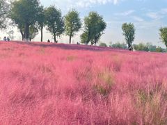 -汉长安城未央宫国家考古遗址公园