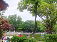-莲湖公园