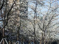 -苏州香格里拉大酒店