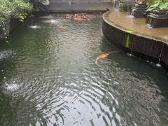 -禄福山庄•顺德菜·融和菜(龙江店)