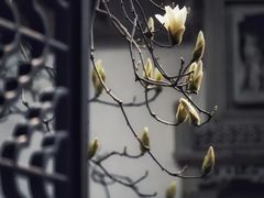 -耦园