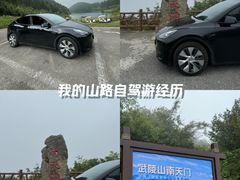 -武陵山森林公园