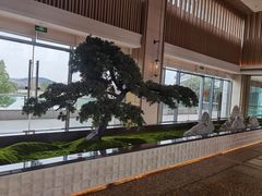 -上海佘山世茂艾美酒店