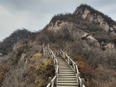 -大岭沟猕猴桃谷风景区