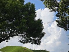 -南通洲际绿博园
