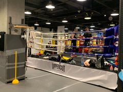 -Uppercut拳馆·Boxing拳击·Muay Thai泰拳