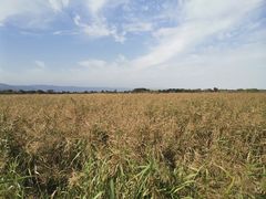 -处女泉风景名胜区