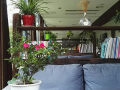 这是茶厅，小资且有品位-鱼凫人家