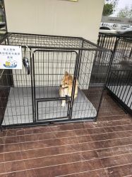 -鼎极摄影(世纪金源店)