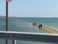 -养马岛旅游度假区