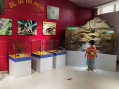 -上海昆虫博物馆