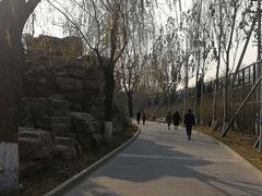 -丰台花园
