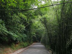 -四洞沟景区