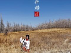 -盐湖景区