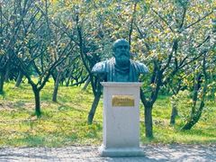 -南京医科大学(江宁校区)