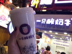 -一只酸奶牛(八一路店)