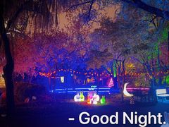 -枫花园汽车电影院(朝阳公园店)