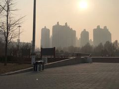 -朝阳公园游乐园