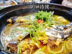 -巢湖姥山岛