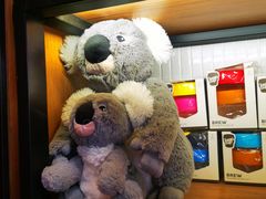 -Jamaicablue Coffeeshop(中央广场店)
