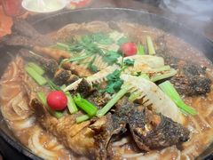 -老板恋上鱼(振华商厦店)