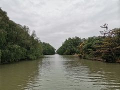 -大湾区中央湿地公园
