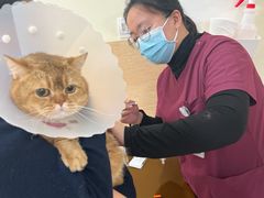 -美联众合动物医院·24h京西诊疗中心
