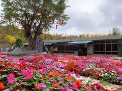 -田园寨农园观光园