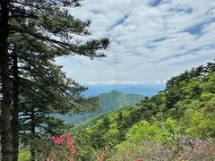 -九华山风景区