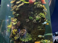 -西安曲江海洋极地公园