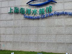 -上海海洋水族馆