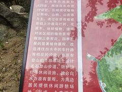 -白水寺森林公园