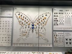 -四川大学博物馆