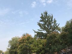 -万源龙顺度假庄园生态观光园