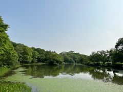-八卦田遗址公园