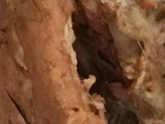 -济南孟家扒蹄店