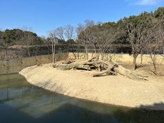 -常州淹城野生动物世界