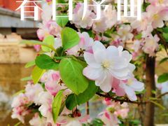 -元大都城垣遗址公园