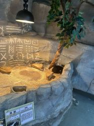 -Zoolung Zoolung动物主题公园(海信广场店)