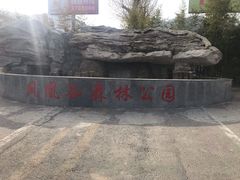 -凤凰欢乐谷