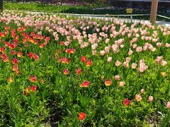 -长春公园(普阳街道)