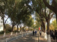 -吉林大学(前卫南区)