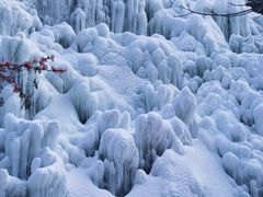 -黑龙潭风景区