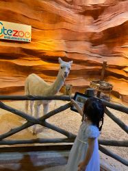 -酷嗒动物文化乐园(cutezoo西溪乐天城店)