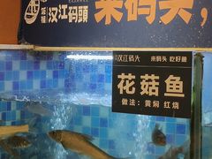 -饭橘汉江码头·乡野土菜馆(静安路店)