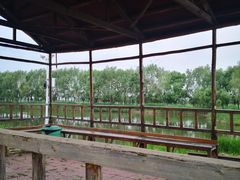 -白渔泡湿地公园