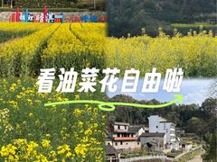 -新安江山水画廊风景区