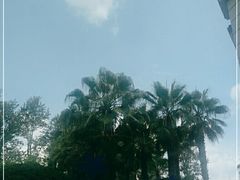 -翠湖宾馆·中餐厅