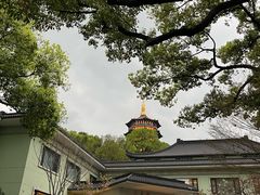 -浙江西子宾馆·牡丹厅